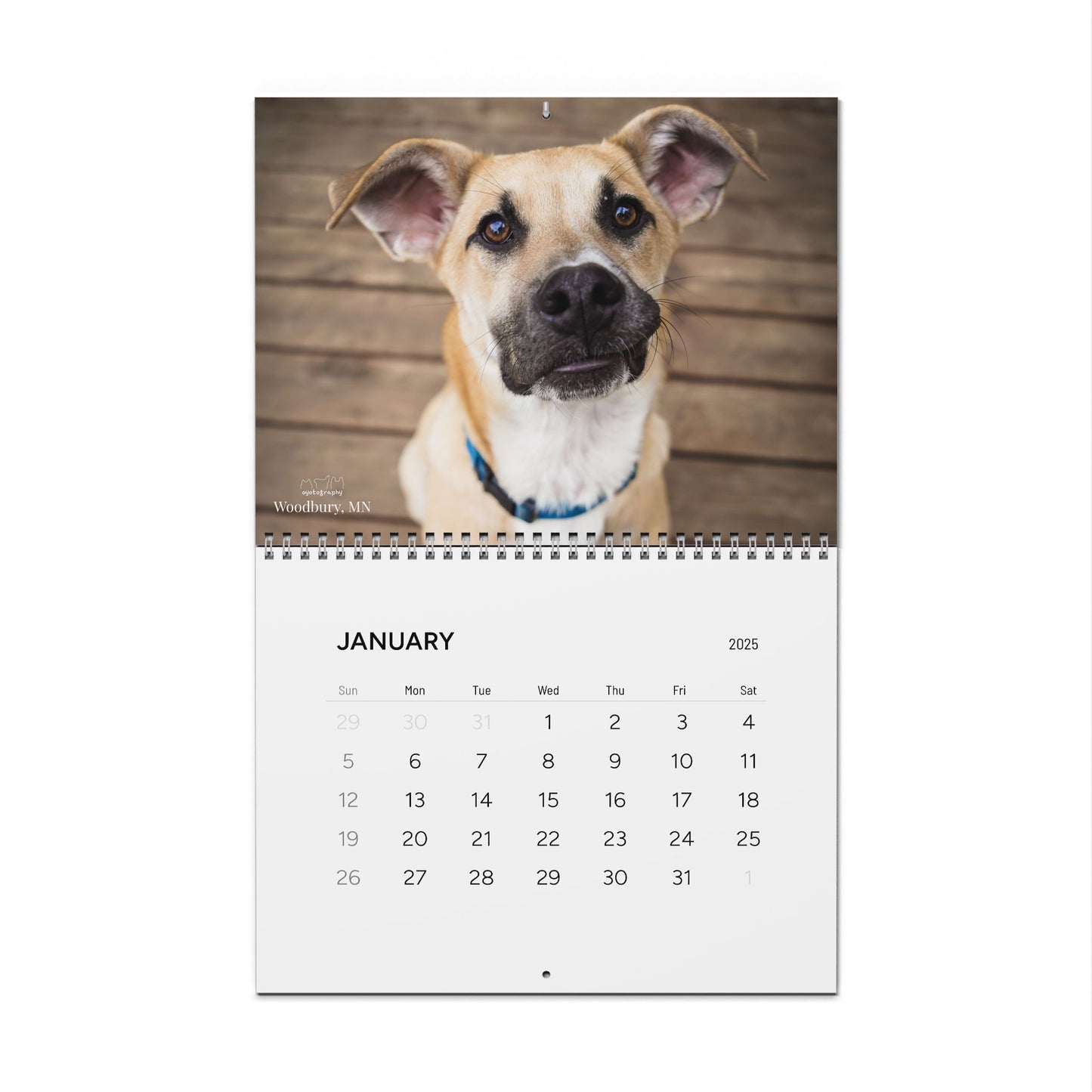 Oyotography Wall Calendars (2025)