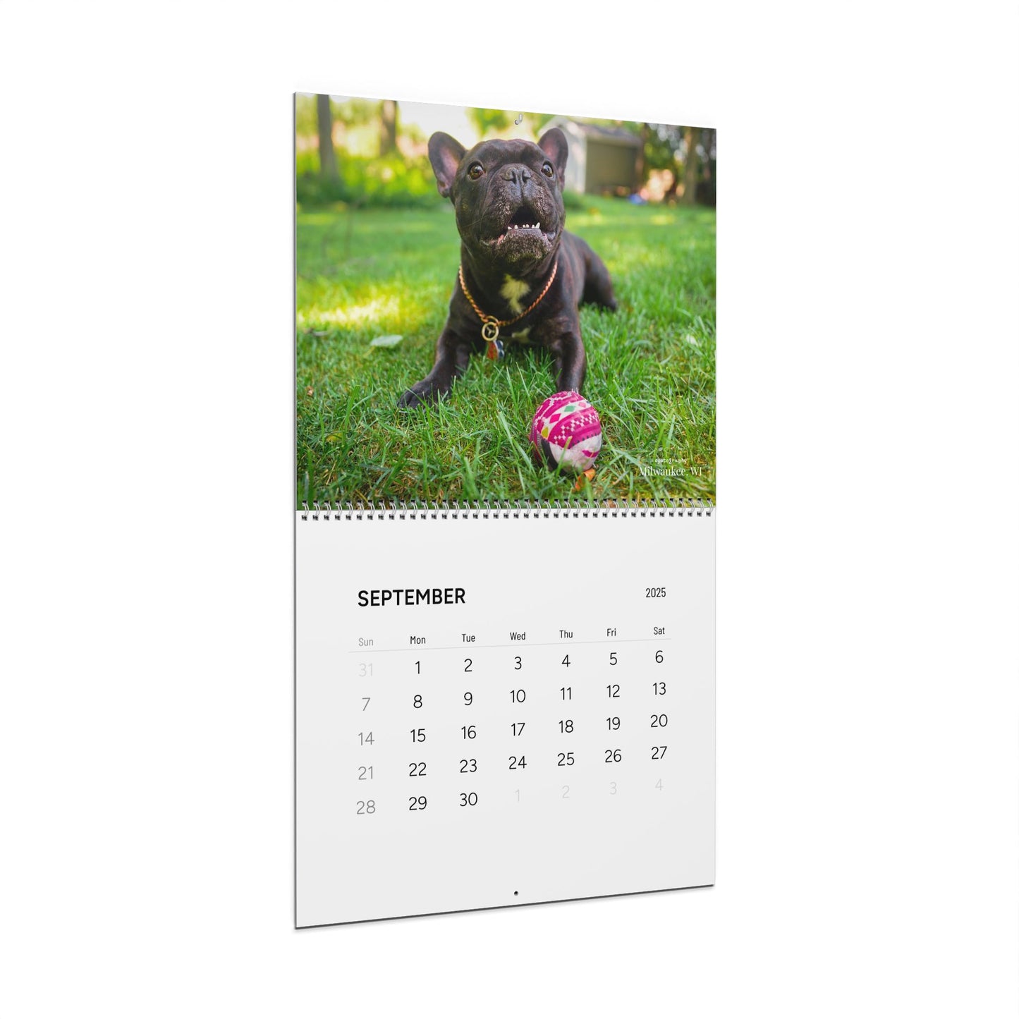 Oyotography Wall Calendars (2025)