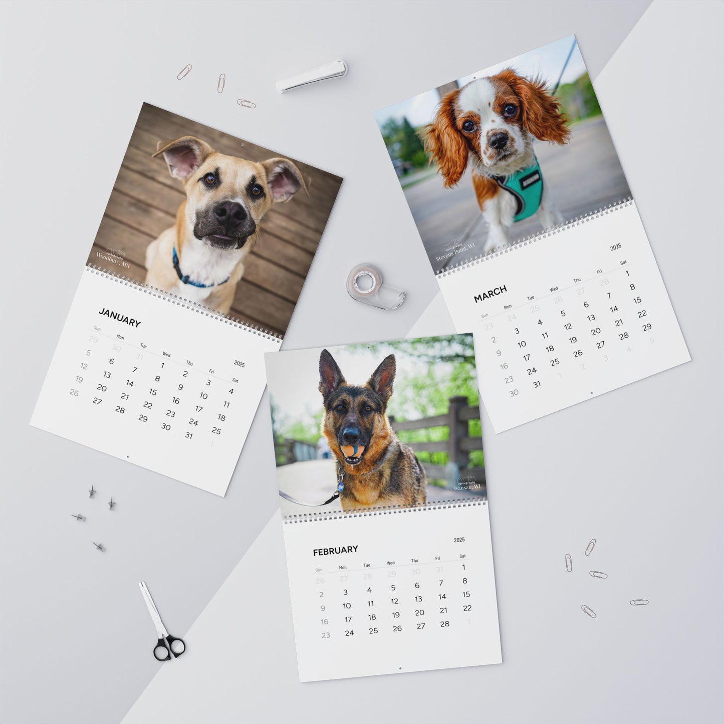 Oyotography Wall Calendars (2025)