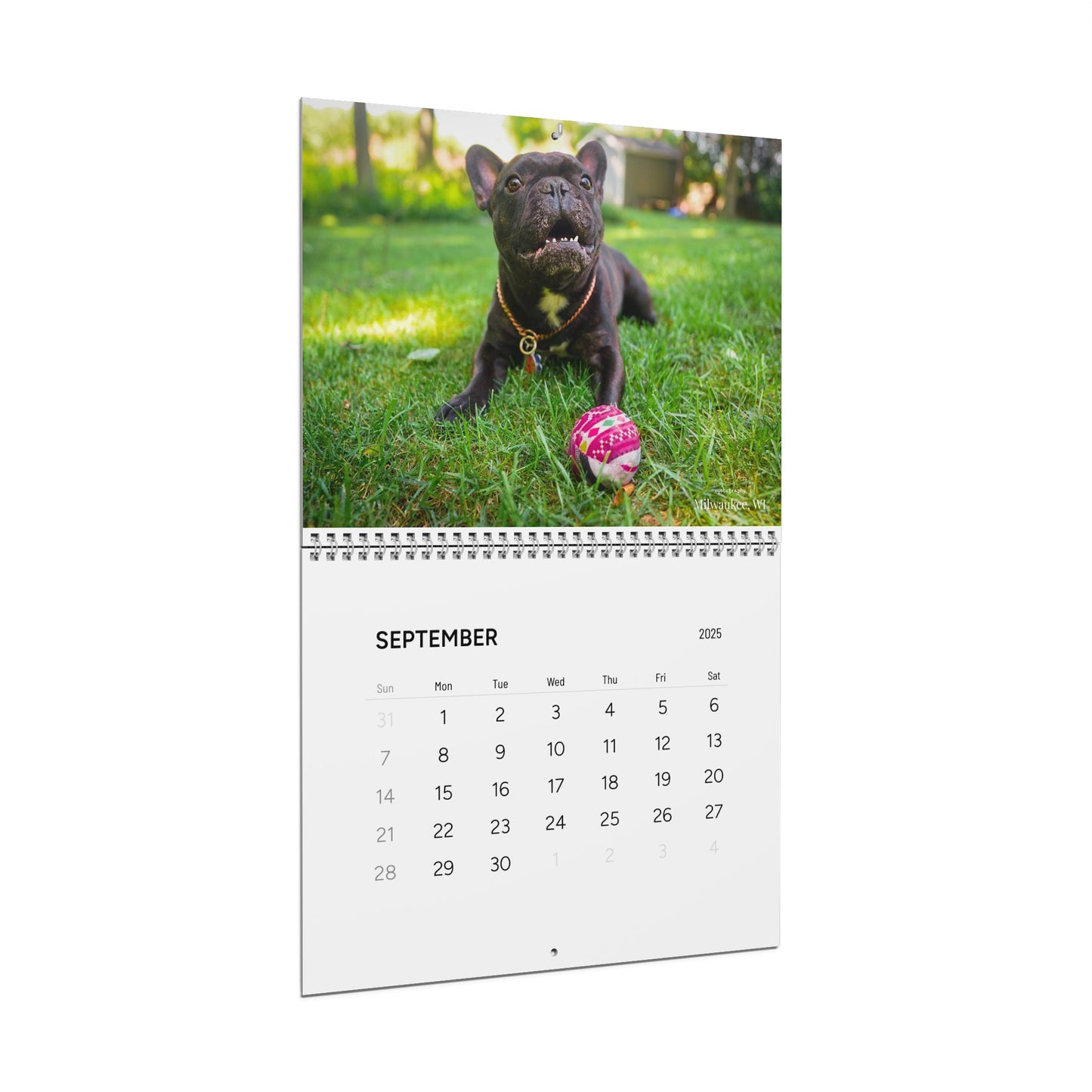 Oyotography Wall Calendars (2025)