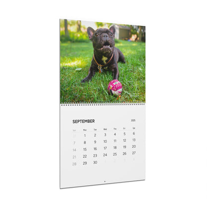 Oyotography Wall Calendars (2025)