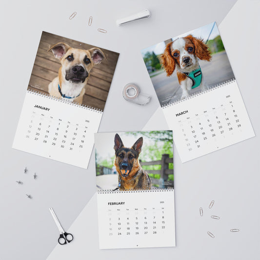 Oyotography Wall Calendars (2025)